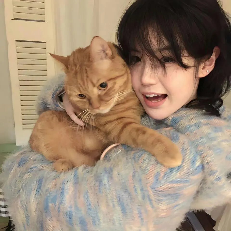 这！就是世界波