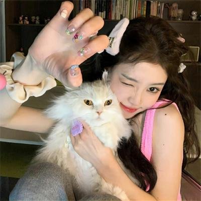 蚊子海岸第二季